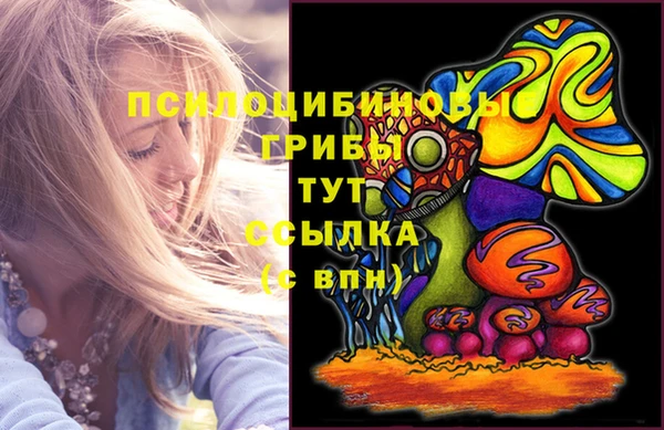а пвп мука Пестово