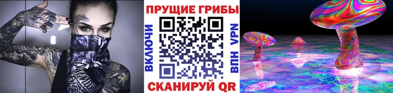 hydra вход  Верея  Псилоцибиновые грибы GOLDEN TEACHER 